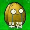 手机植物小百科