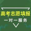 云南高考志愿填报规划