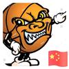 启航体育