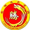 龙腾文武学校