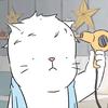 一只猫的旅行丶