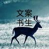 文案书生