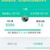卫冕冠军MVP（金融精英）