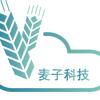武汉麦子科技有限公司