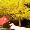 liuliu