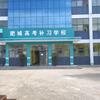 肥城市高复教育培训学校有限公司
