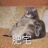 肥宅世良