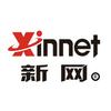 新网域名