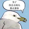 朝阳逆光