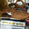 🐠鱼胶与海参