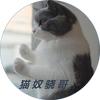 猫奴骁哥