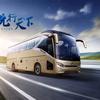 金旅 | 九龙汽车总经销
