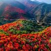 魅力鸠山