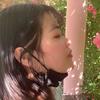 陌惜花落