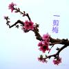 上林一剪梅