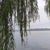 惊世骇浪（有关必回）