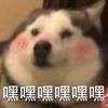🌈嘘嘘妹妹