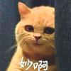 老五鉴文