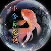 小金鱼影视