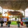 东莞观音山古树博物馆