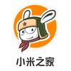 小米之家鹤壁爱之城广场店