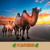天边的骆驼手机摄影
