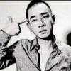 寻水的鱼