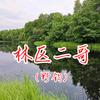 林区二哥
