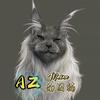 AZ俄系缅因猫（免费鉴定）