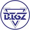 BIG Z电音节