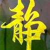 静