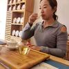 冰岛茶区凤婷原生茶叶初制所