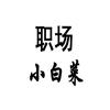 职场小白菜