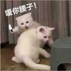 太空网管