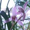 飛舞瞬間