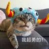 青阿青