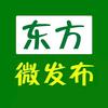 东方微发布