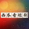 西瓜看短剧