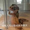 越塔撩妹