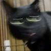 ᑒ