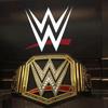WWE娱乐摔角站