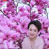 彩虹8811