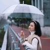 ぐ菇凉、你够了