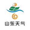 山东天气