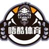 唔酷体育文化发展有限公司