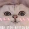 麦
