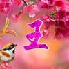 真情比酒浓