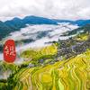镜观天下