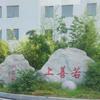 寒潭鹤影