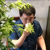 雅阁茶苑“大麟”